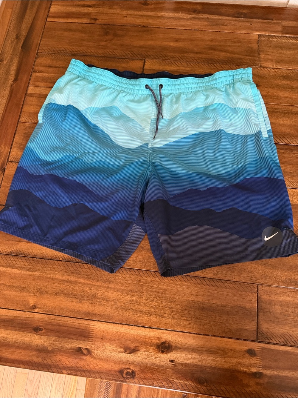 Nike Men’s Teal to Navy Layered Wave Swim Trunks size XXL